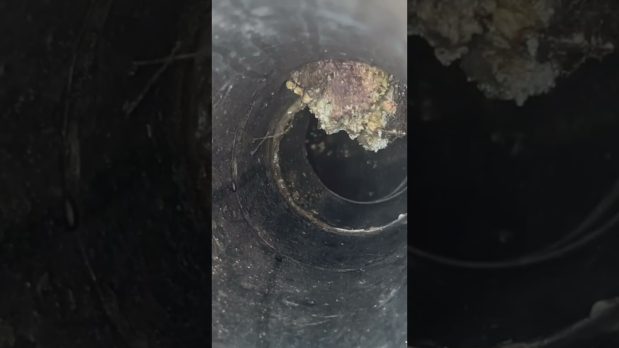 Atasco en desagüe de terraza conectado a vivienda en Las Palmas