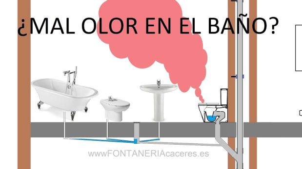 Cómo solucionar el retorno de olores desde el desagüe del baño principal en Las Palmas