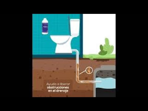 Desatascos en Las Palmas: bloqueo en arqueta por papel higiénico acumulado