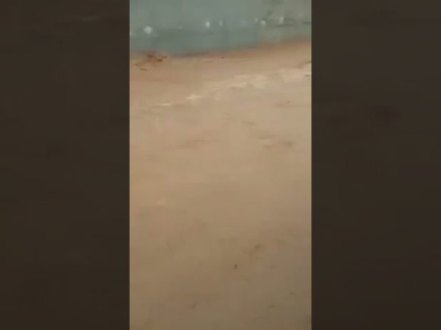 Desbordamiento de arqueta con riesgo de daños en Las Palmas: soluciones efectivas