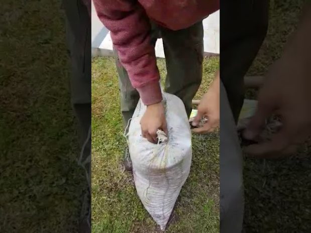 Mantenimiento ecológico de desagües con bacterias activas en Las Palmas